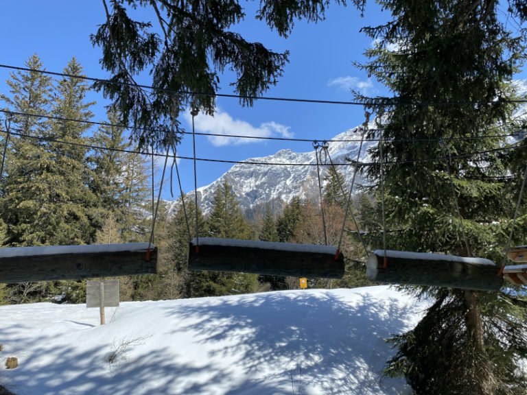 IMG 0600 768x576