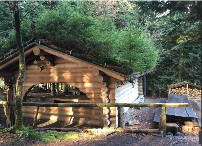 20210526 215656 1 768x557