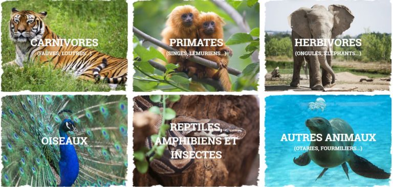 Conficulture4 768x366