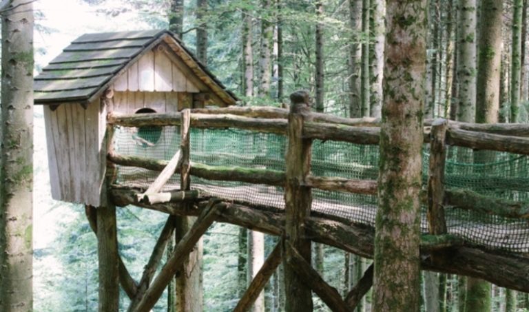 SmartSelect 20210526 215402 Samsung Internet 1 768x453